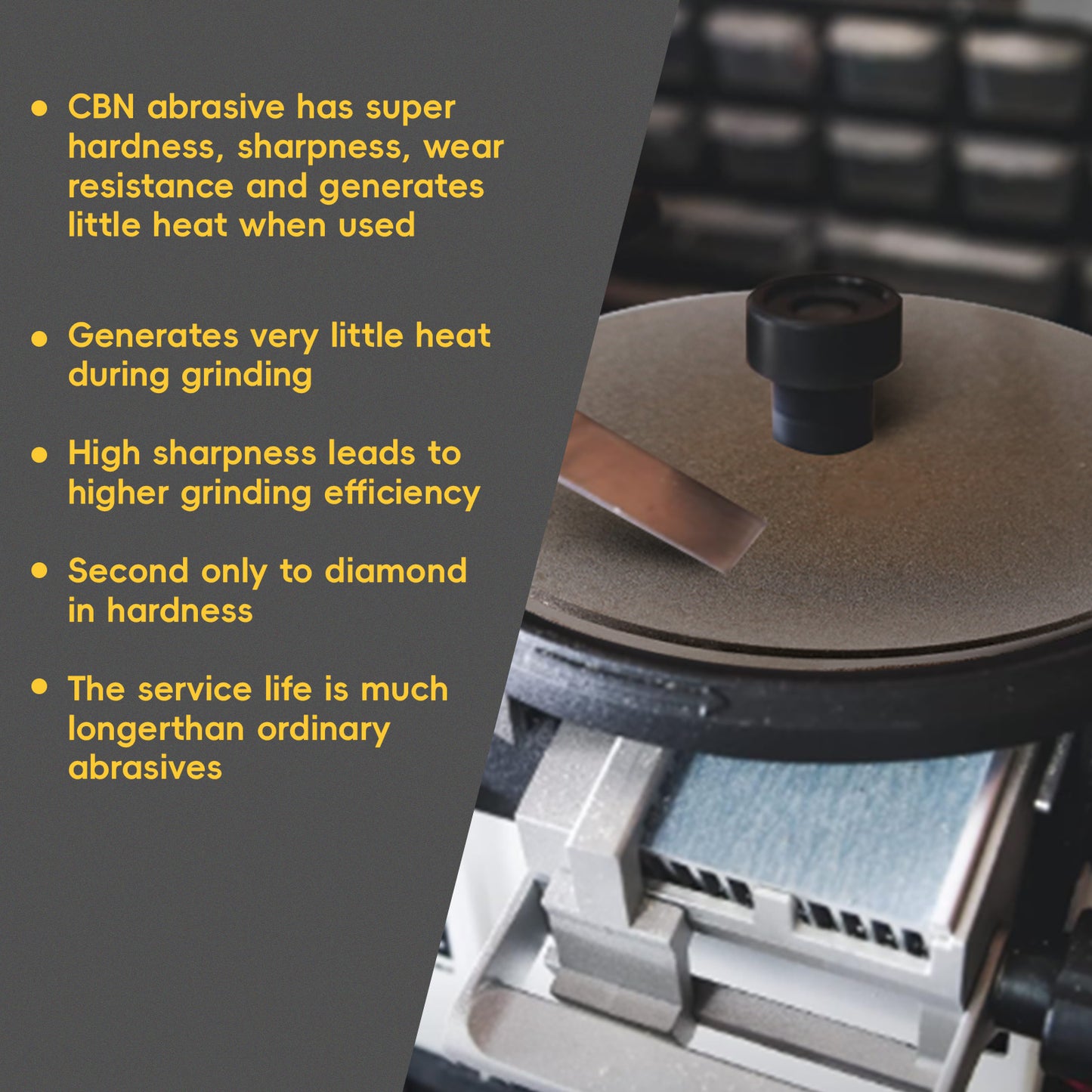 Double-Sided CBN Grinding Disk – Compatible with WS3000 - Sharpening for Hardened Steel